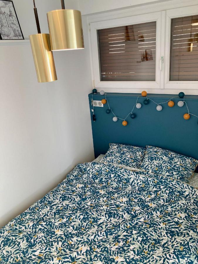 Appartement Avec Terrasse Et Parking Gratuit Accole Montbéliard Kültér fotó
